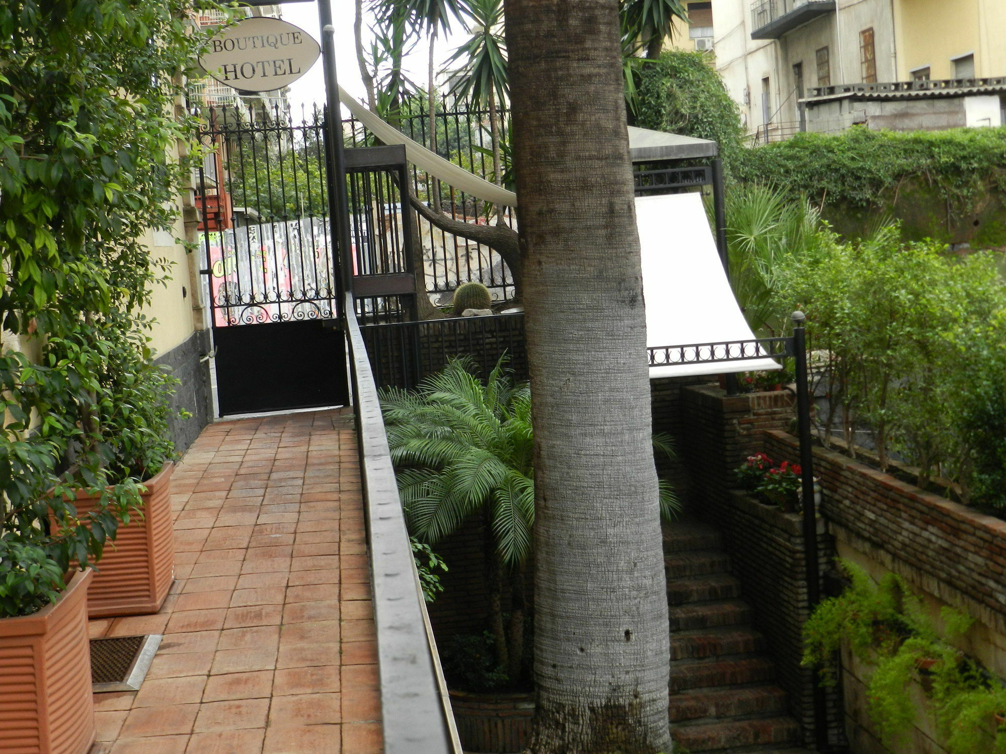 B&B La Vecchia Palma Katánie Exteriér fotografie